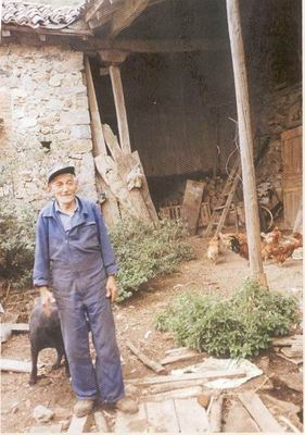 camposolillo2