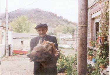 celsoprimajas