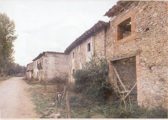 camposolillo3