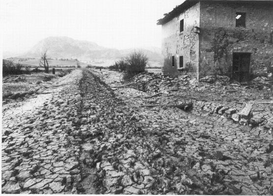 carreteraarriba