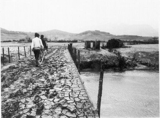 isidorotereencimadelpuente
